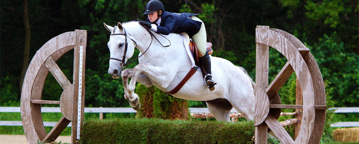 Derby Series